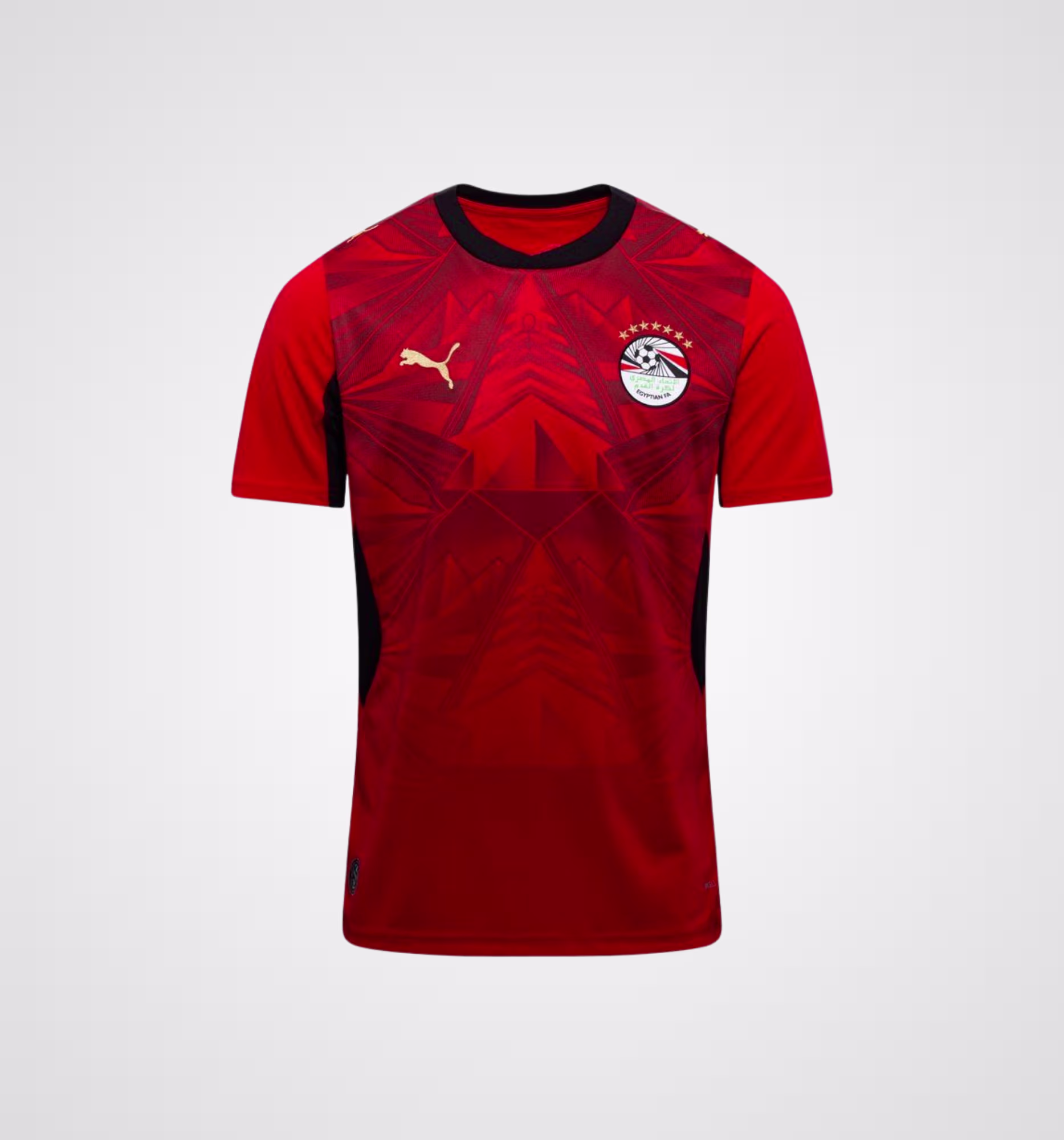 2026 Egypt National Home Kit