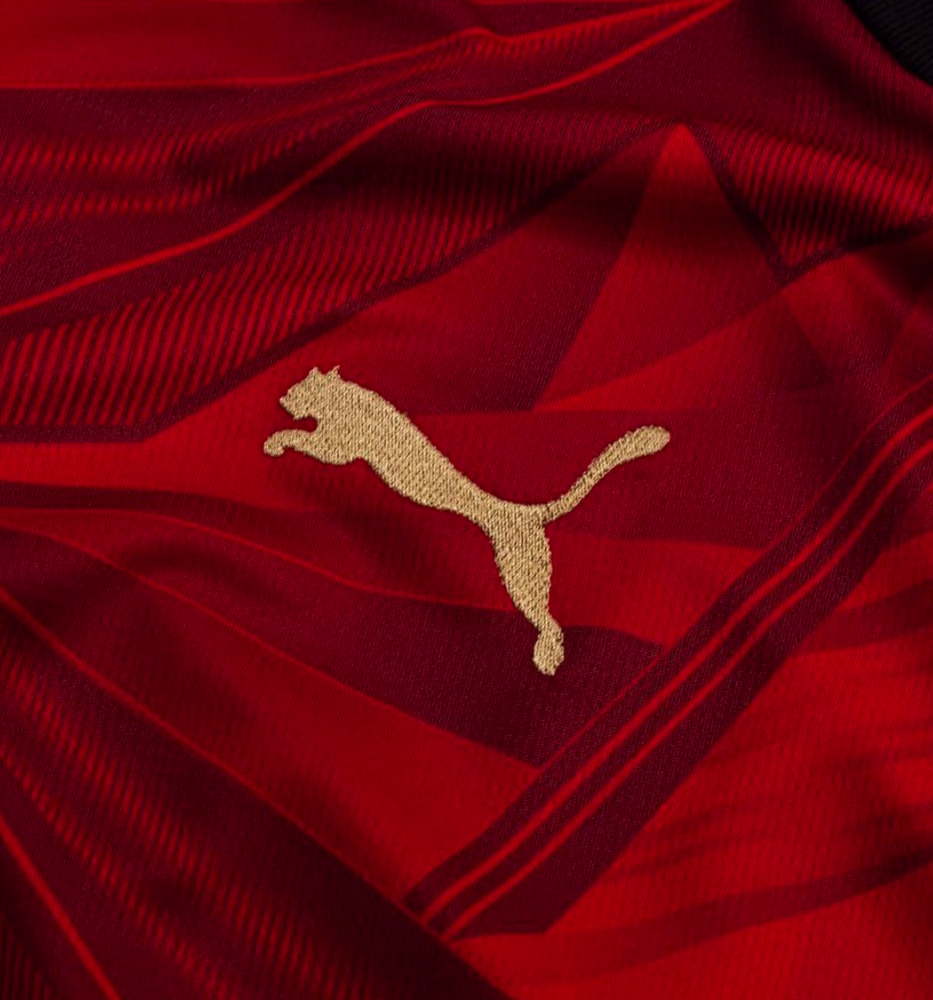 2026 Egypt National Home Kit