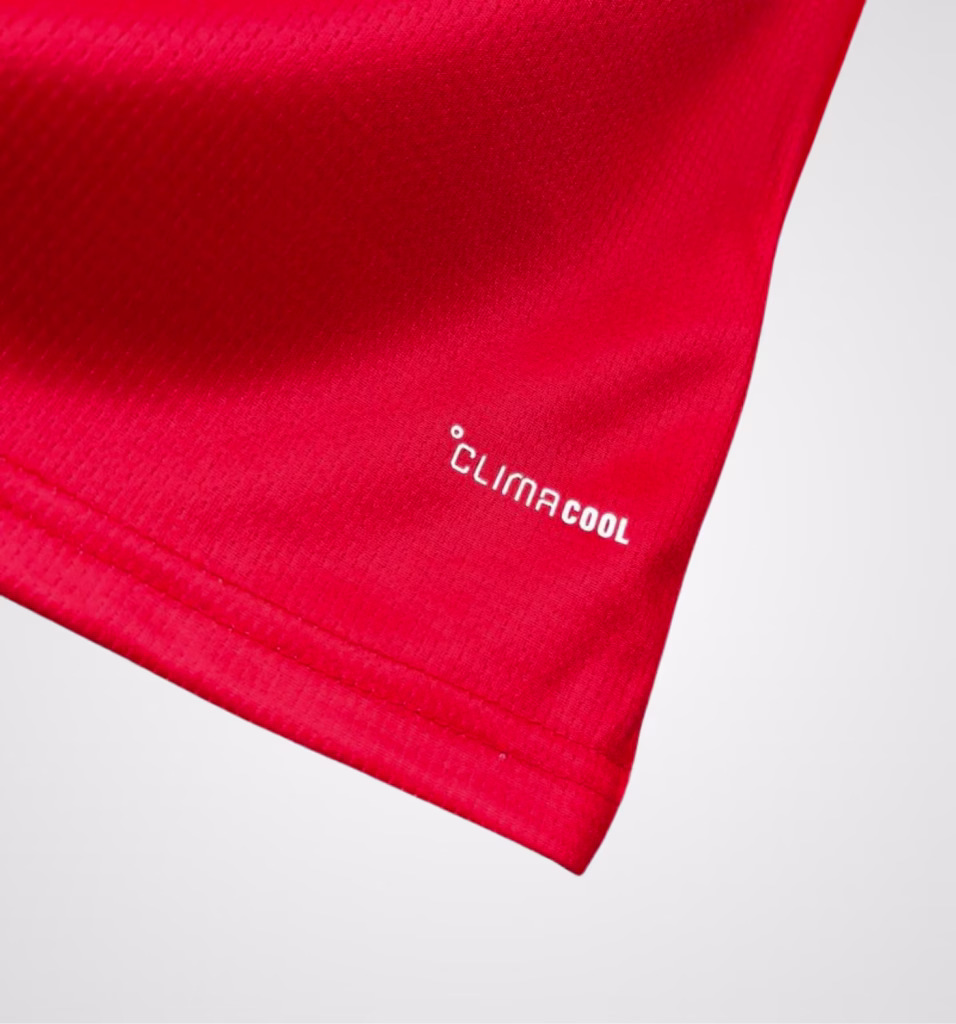 2026 Wales National Home Kit